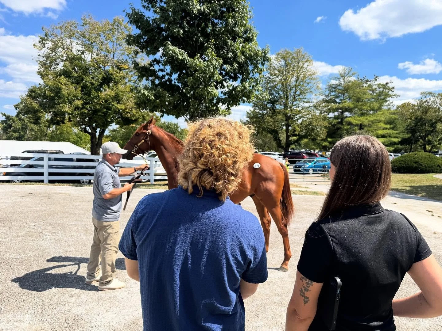 We&rsquo;re over halfway through the Fall 2025 Amplify Mentorship Program! Our mentees have been busy gaining hands-on experience and building valuable connections across the Thoroughbred industry.

- Many attended the Keeneland September Sale with t