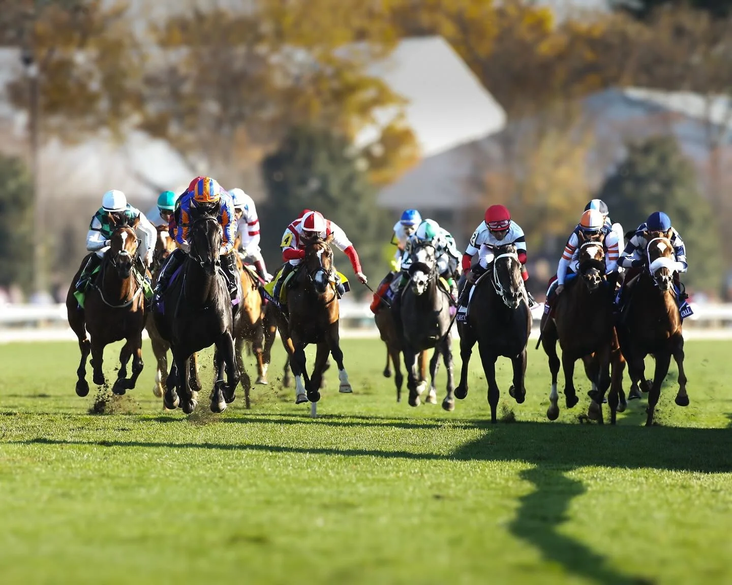 Today, Keeneland will host five graded stakes worth over $3.5 million in purses: the Coolmore Turf Mile (G1), Claiborne Breeders&rsquo; Futurity (G1), First Lady (G1), Thoroughbred Club of America (G2), and Woodford (G2). They are Breeders&rsquo; Cup