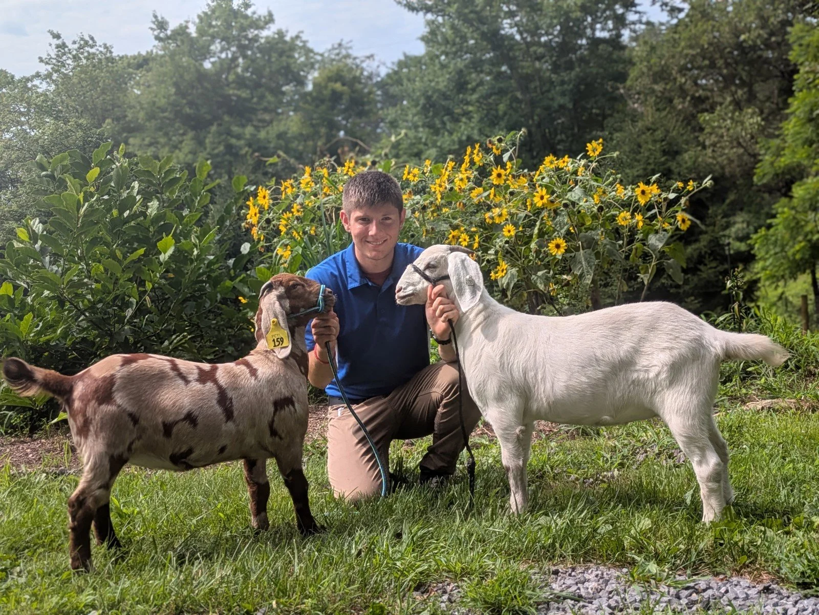 🌟 Meet this week's mentee introductions! 🌟

We&rsquo;re excited to introduce two new faces joining the Amplify Horse Racing Mentorship Program this session &mdash; Brady Phillips and Josie Lawson!

🐐 Brady Phillips lives on a small goat farm in Ce