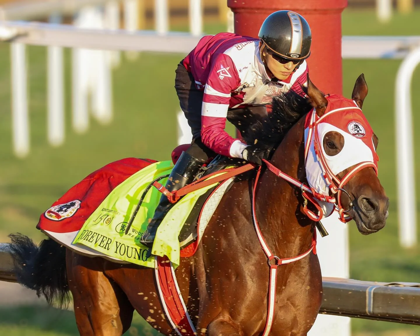 🌍 Did you know international horse racing history was made today? 🇯🇵

Forever Young (JPN) just became the first Japan-trained horse to win the G1 Longines Breeders&rsquo; Cup Classic at Del Mar! The 4-year-old colt surged ahead of top American sta