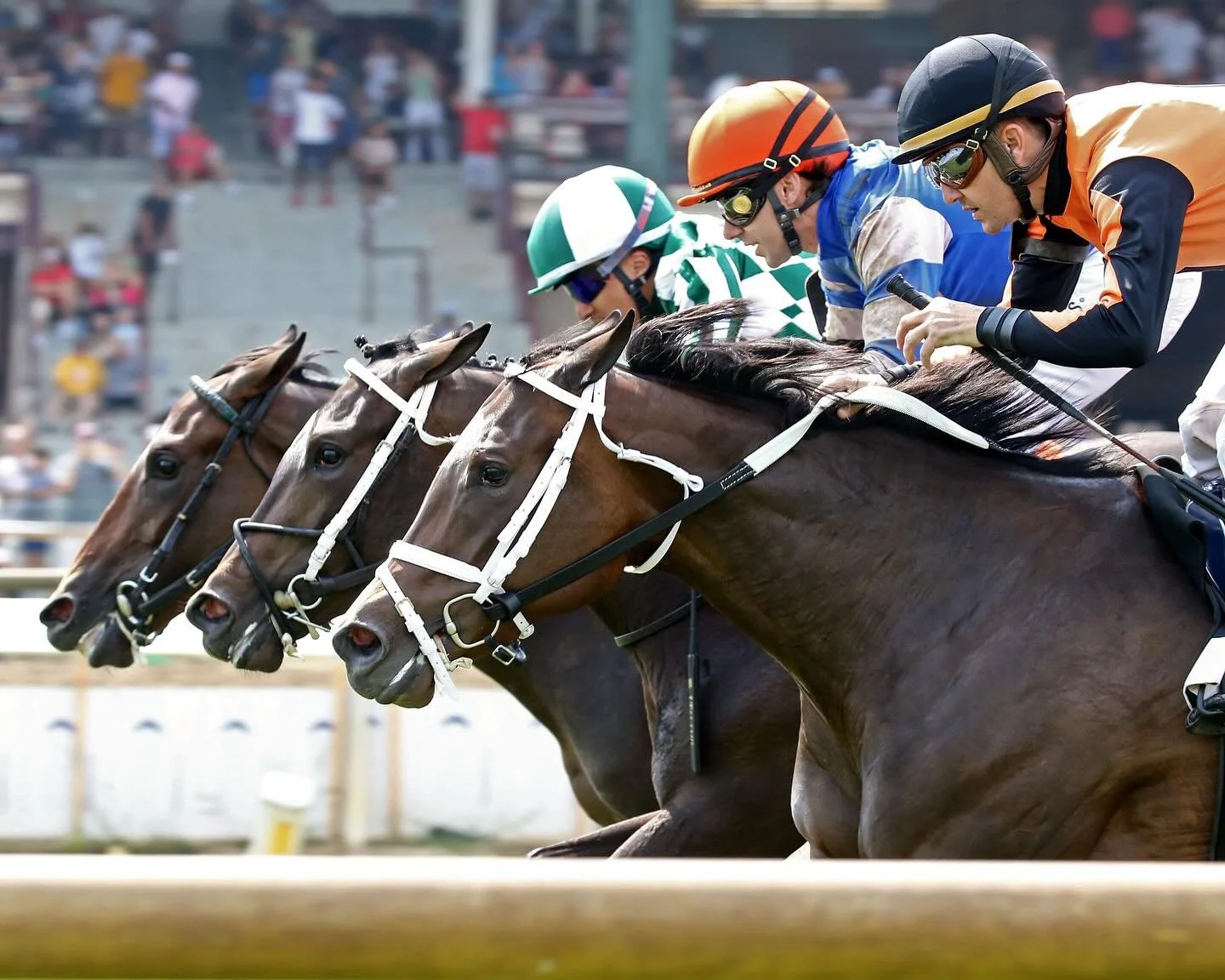Ever heard the saying, &ldquo;That horse won by a nose&rdquo;?
Well&hellip; who determines which nose crossed first? Meet the Placing Judge, the official who determines the exact order of finish in every race!

Here&rsquo;s what they do: They careful