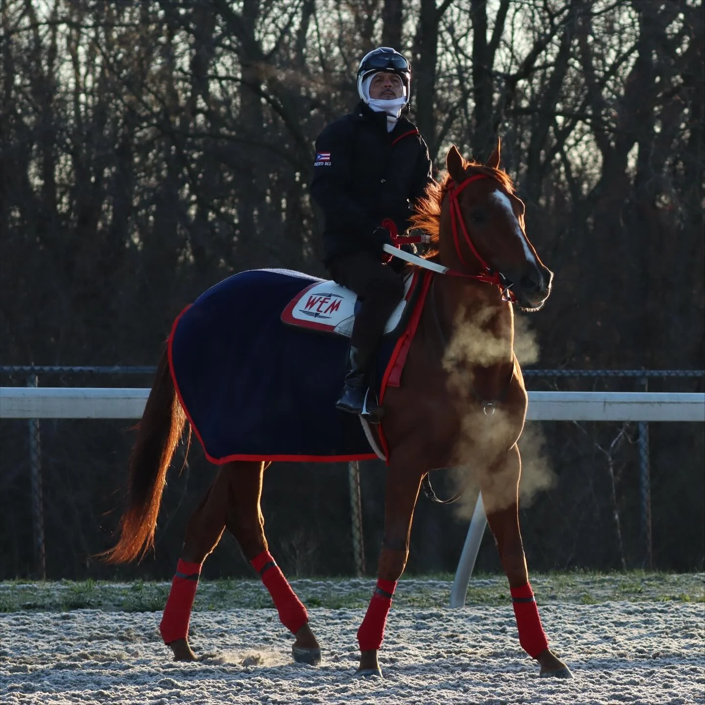 Did you know that saddle pads in horse racing are more than just functional? They also provide us with information! Each trainer often uses a unique saddle pad design featuring their stable&rsquo;s signature colors, logos, or patterns. These designs 