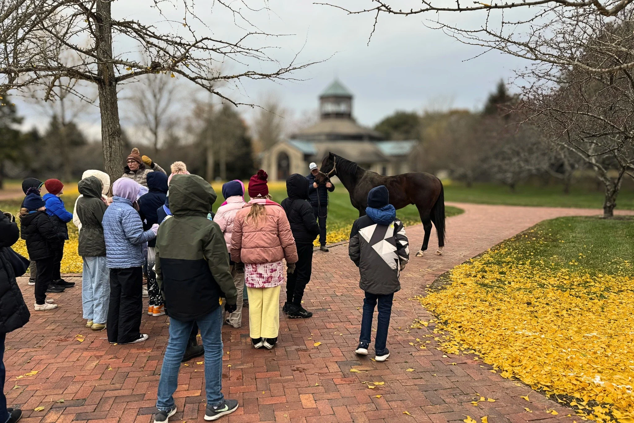 📣 New Press Release: Amplify Celebrates Landmark Year!! 
In one extraordinary week this November, Amplify connected with more than 2,000 students and educators across Kentucky and beyond &mdash; a reflection of the organization&rsquo;s growing natio