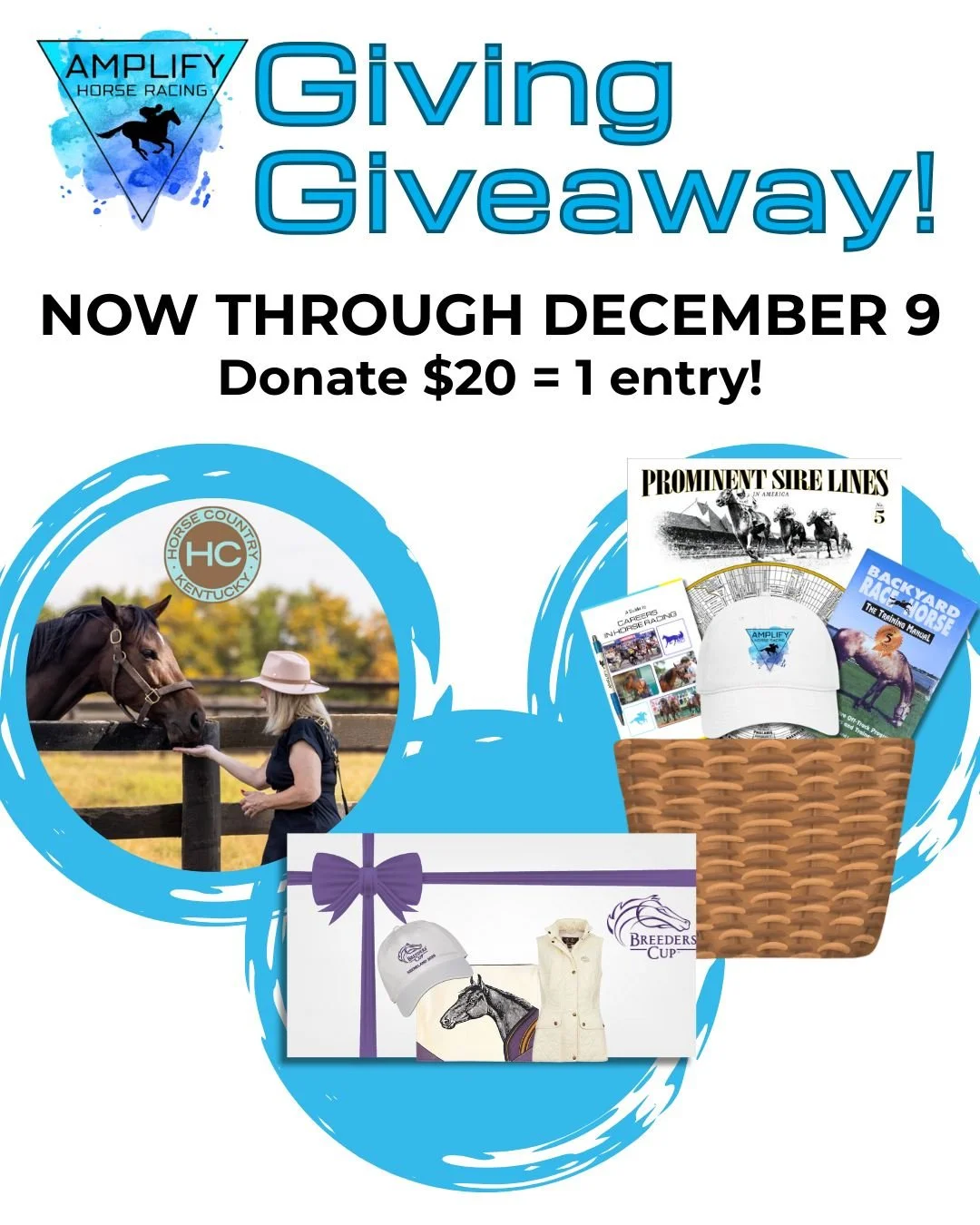 🚨Our first-ever Giving Giveaway is LIVE!🚨

Support Amplify&rsquo;s mission to connect youth with the world of Thoroughbred racing and score a chance to win some amazing prizes! 

Every $20 donation = 1 entry to win prizes like:

 💜 $250 Breeders&r