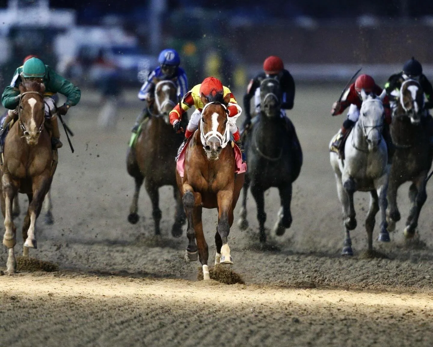 🏇 It&rsquo;s Clark Stakes Day! 🏆

First run in 1875, the Clark Stakes is one of America&rsquo;s oldest Thoroughbred races, having debuted the same year as the Kentucky Derby! Held every year at Churchill Downs, this historic race has crowned champi