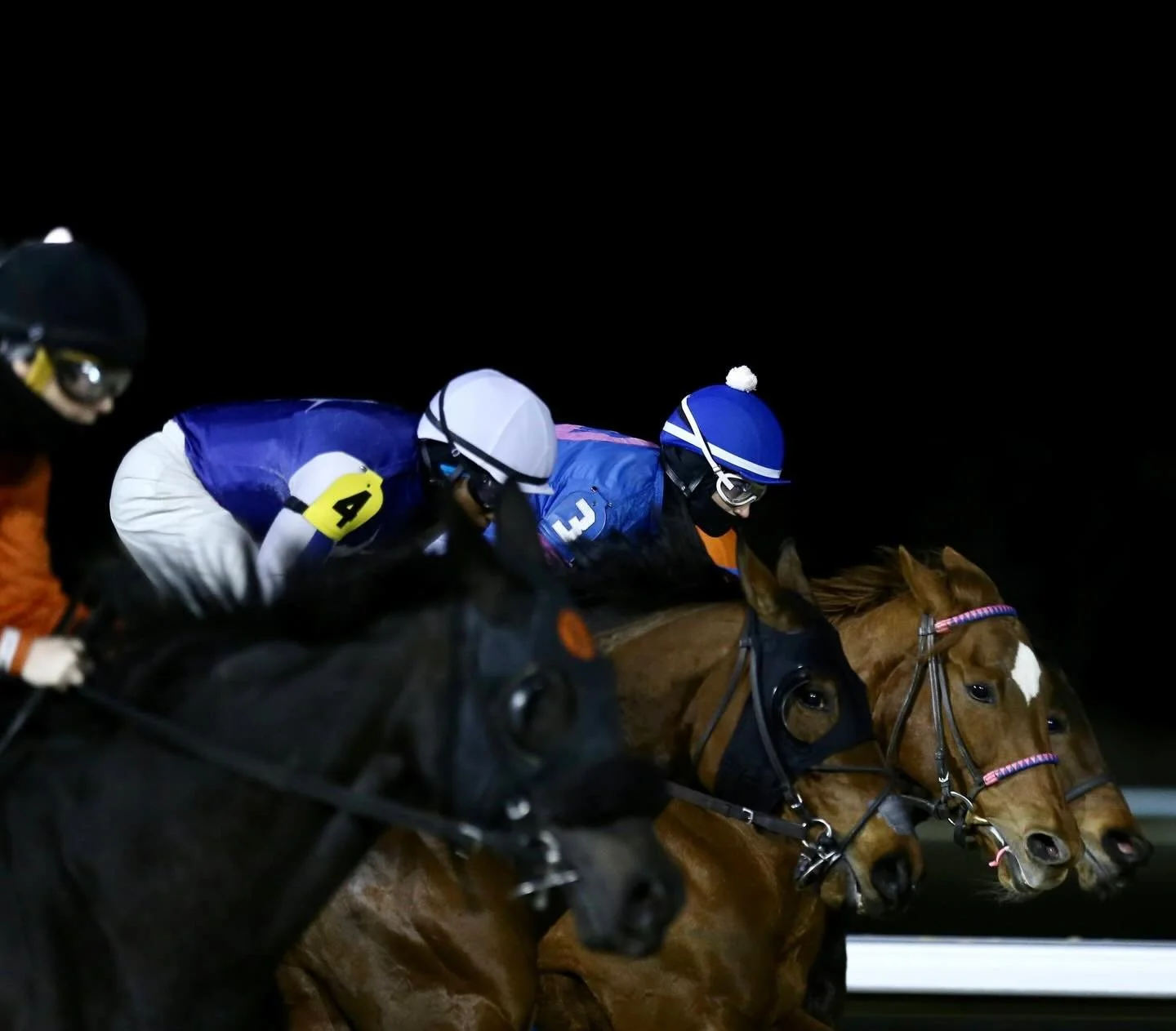 Fast Track Facts - Turfway Park edition ❄️ This Wedneday is opening day at Turfway Park! 

-Turfway Park opened in 1959 as Latonia Race Course before being renamed in 1986. Located in Florence, Kentucky, it is known for hosting Thoroughbred racing du