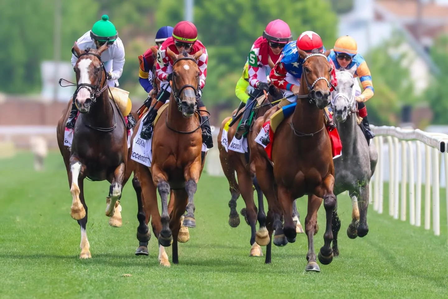 Looking for a new job or internship? Explore current opportunities across the Thoroughbred industry on the Amplify Job Board 👉 amplifyhorseracing.org/job-board 

Also don&rsquo;t forget! Our Mentorship Program application opens the first week of Jan