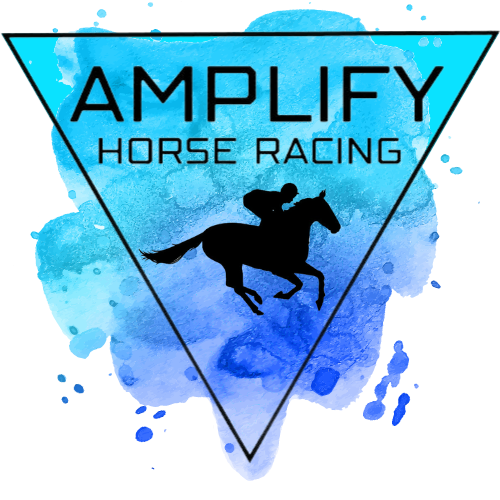 Amplify Mentee Immersion Day