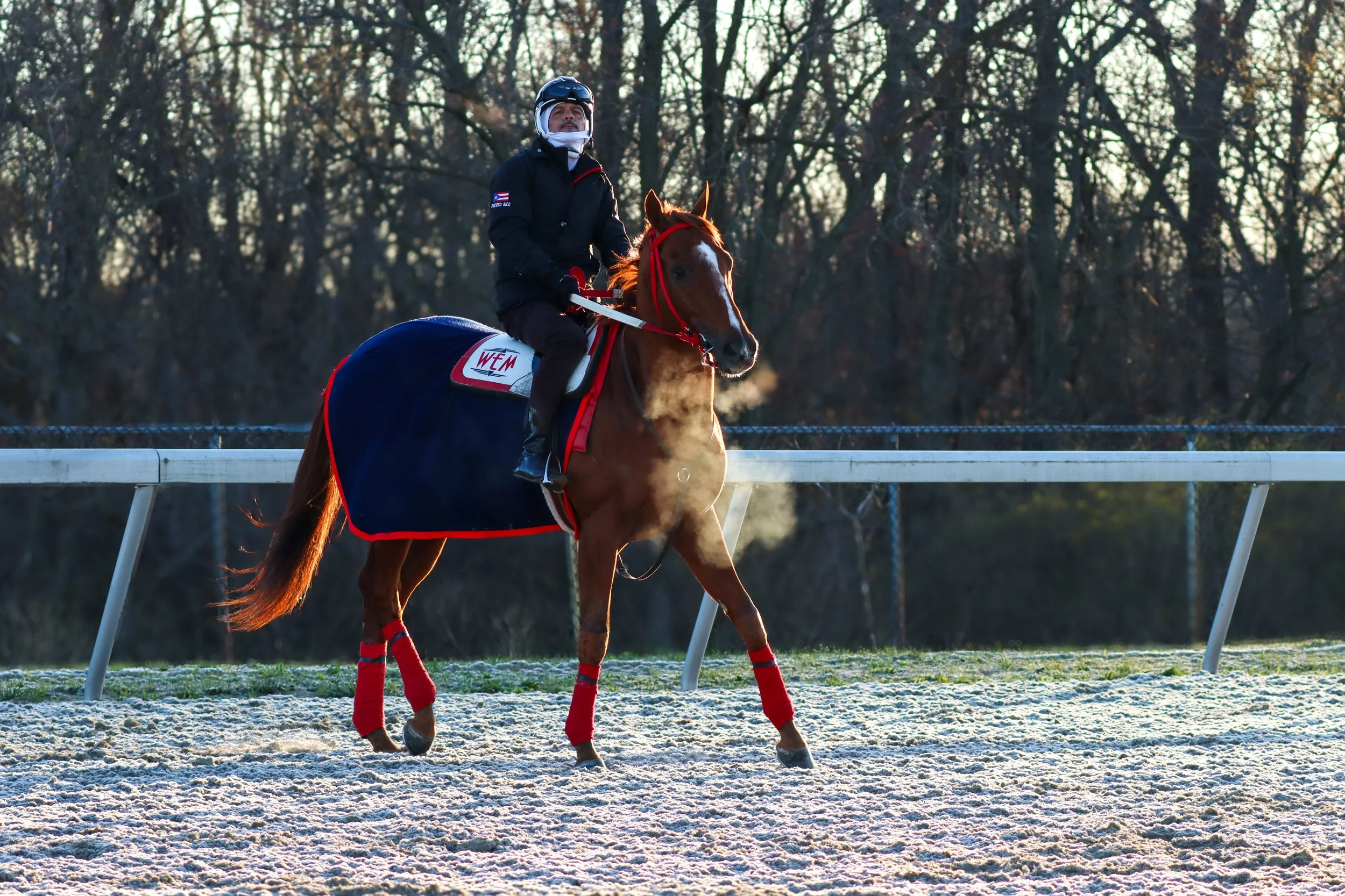 Everyday Expressions with Horse Racing Roots — Amplify Horse Racing