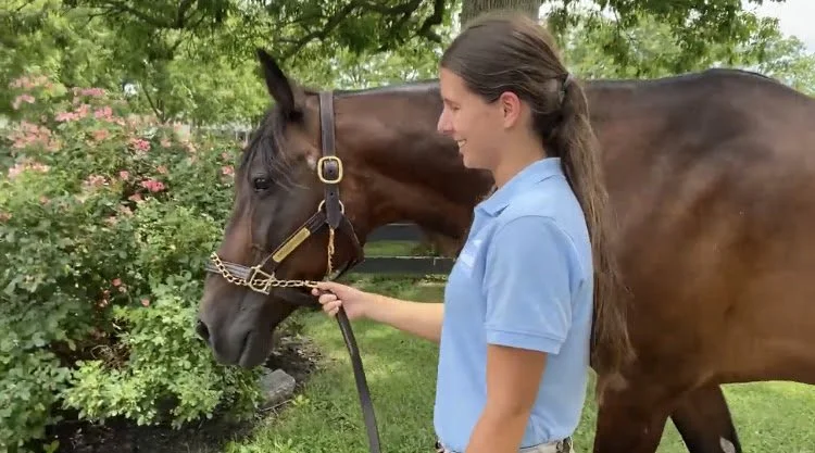 Copy of Rachel Wagley 3_3.PNG