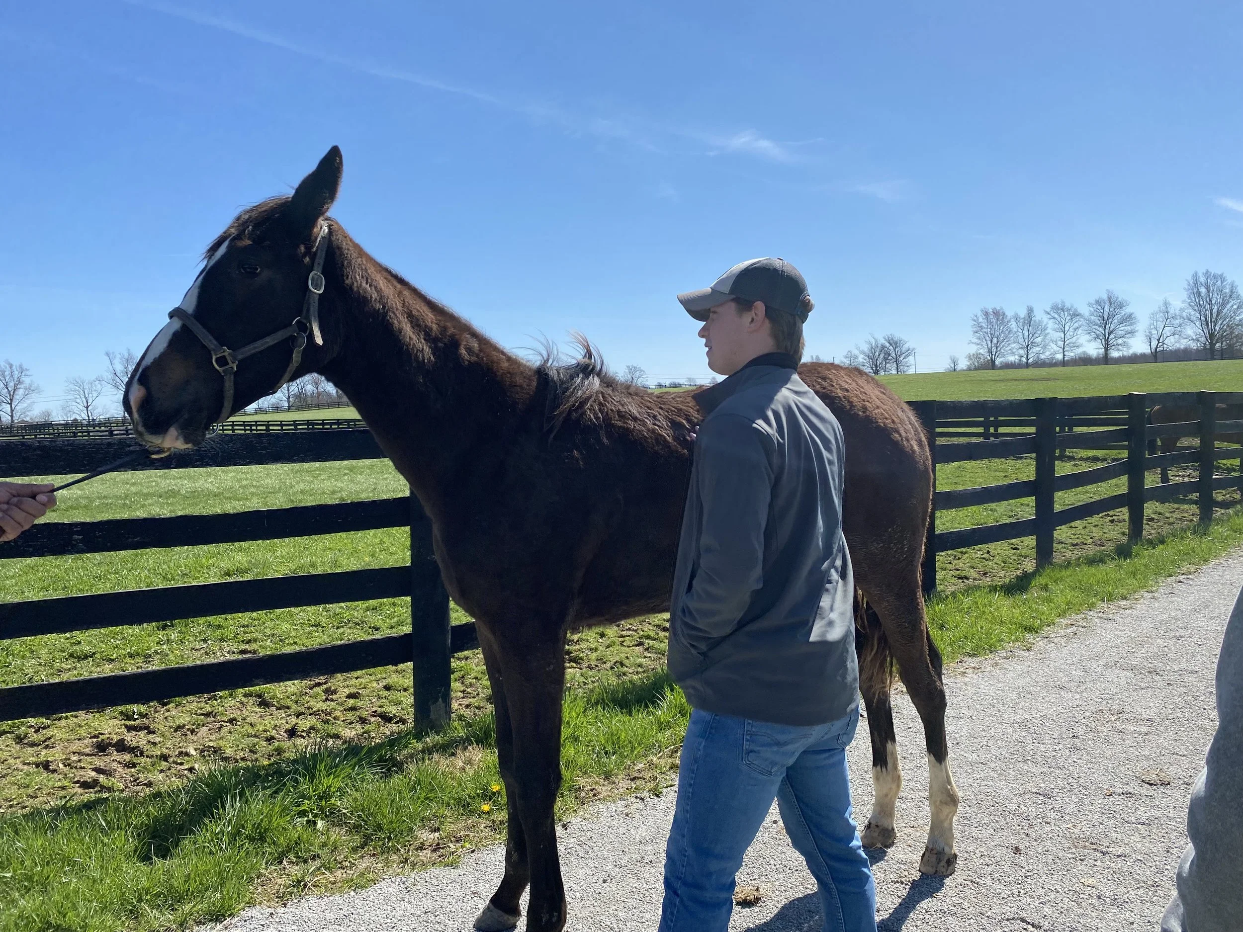 Wyatt Goodin - Amplify Horse Racing
