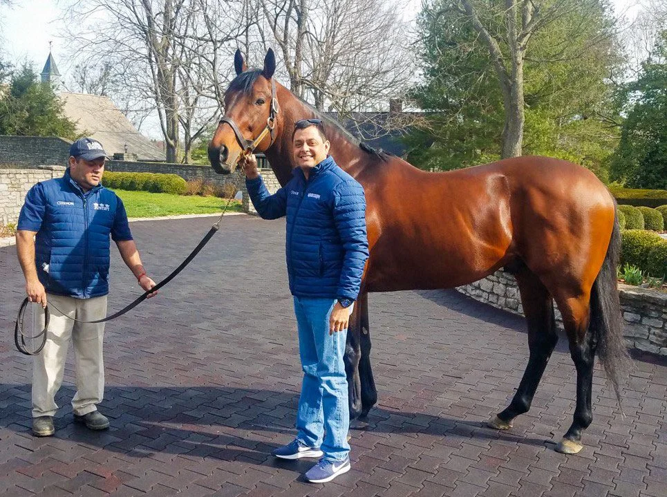 Herman Guanipa - Amplify Horse Racing