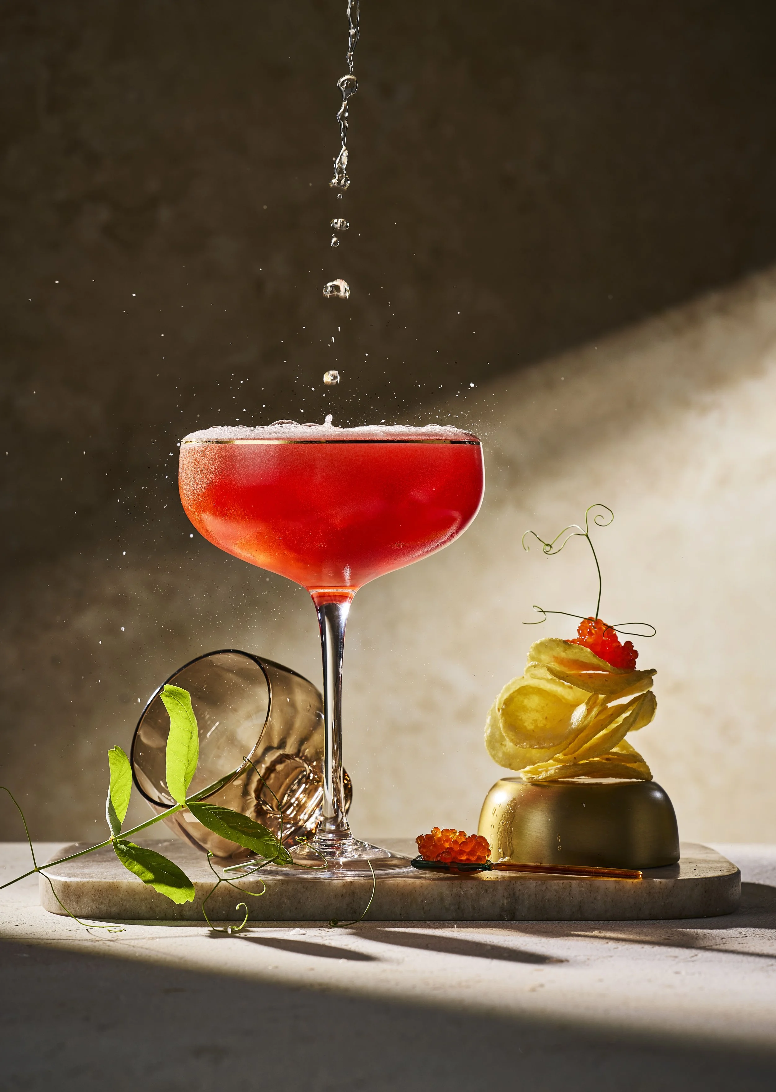 T195_Cocktails & Canapes_11604.jpg