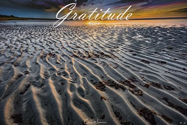 gratitude sig 650.jpg