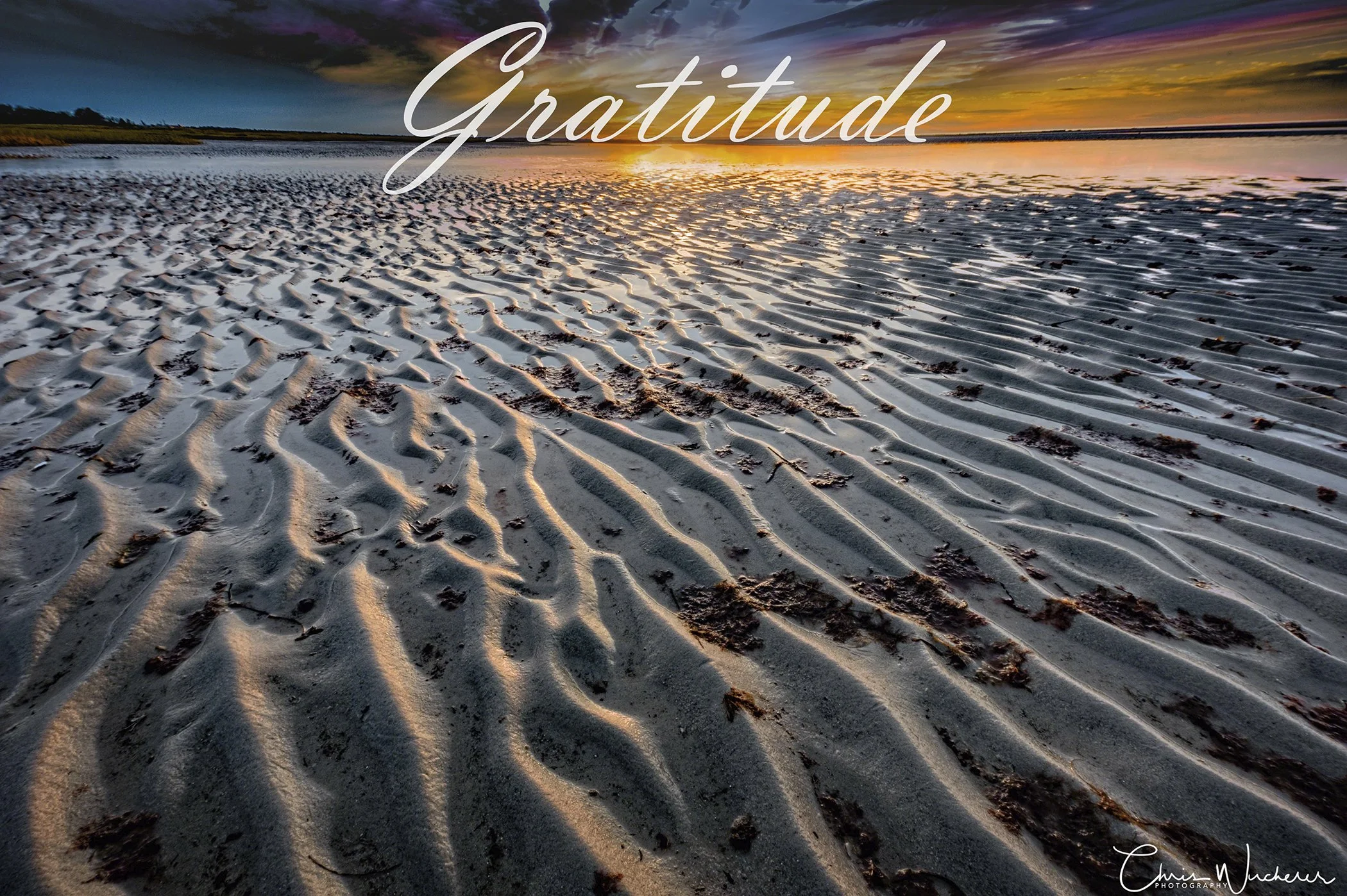 Gratitude
