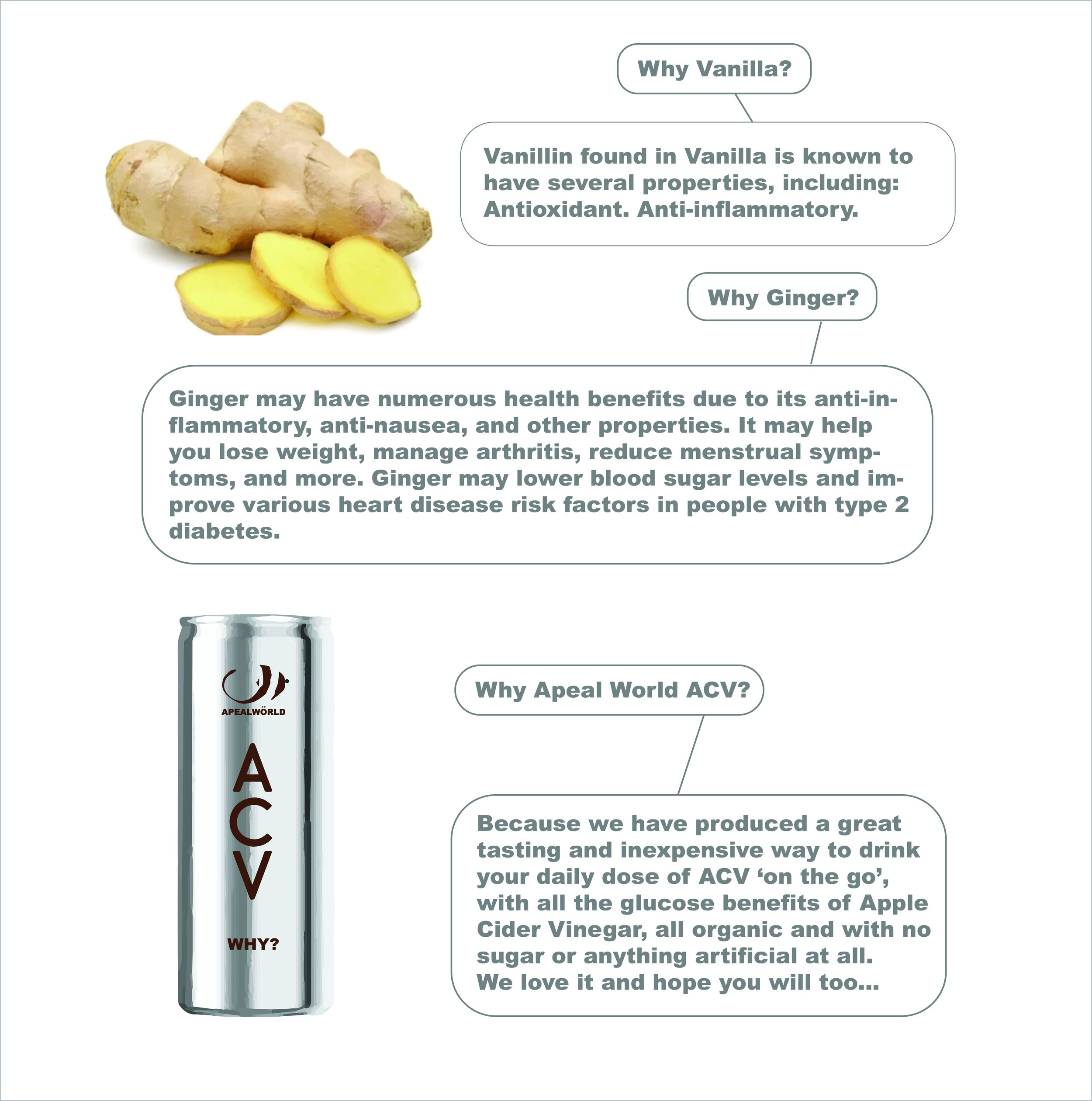 PRODUCT.P.2b.jpg