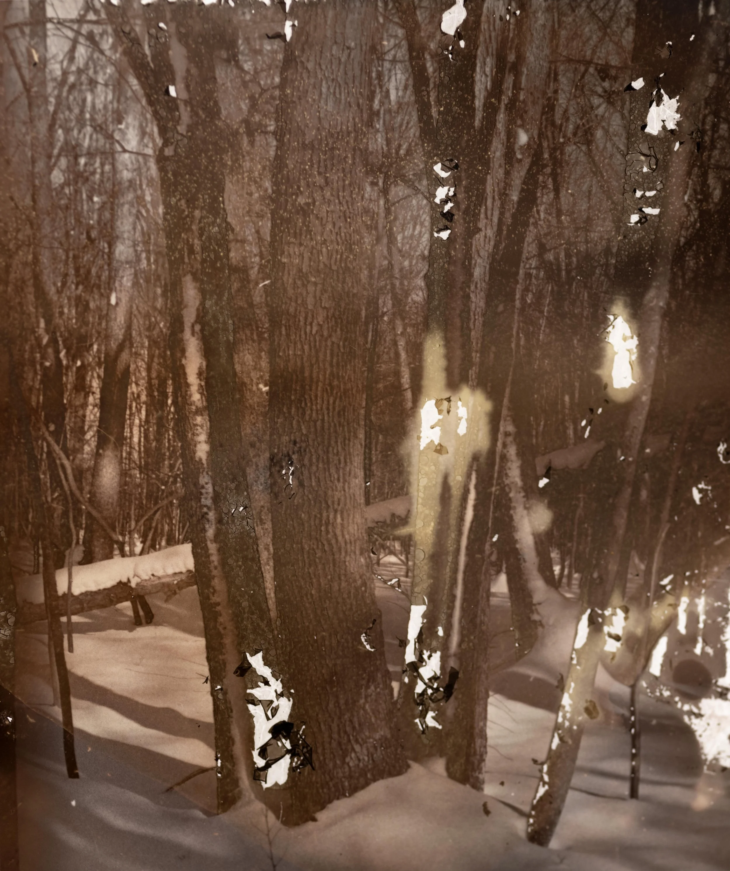 Standing in the Far, 
Mordançage, Silver Gelatin Print