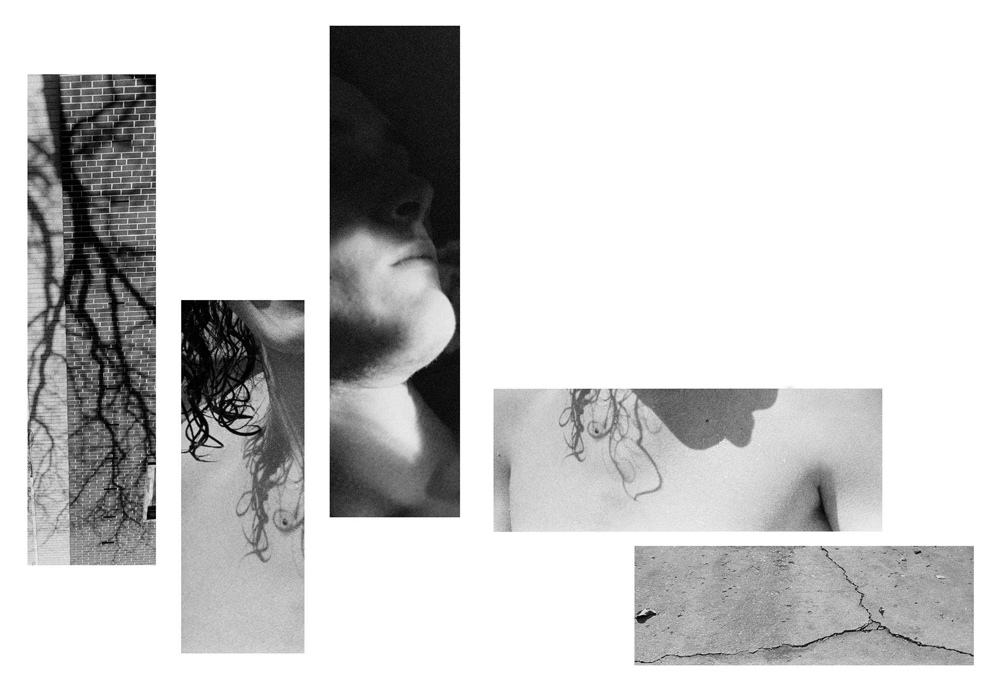 The veins between fragments copy.jpg