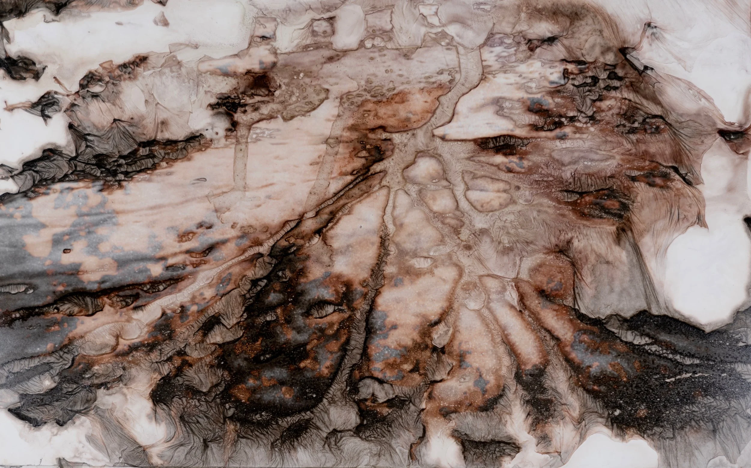 Photographs Fall Through Fingers,
Mordançage, Silver Gelatin Print