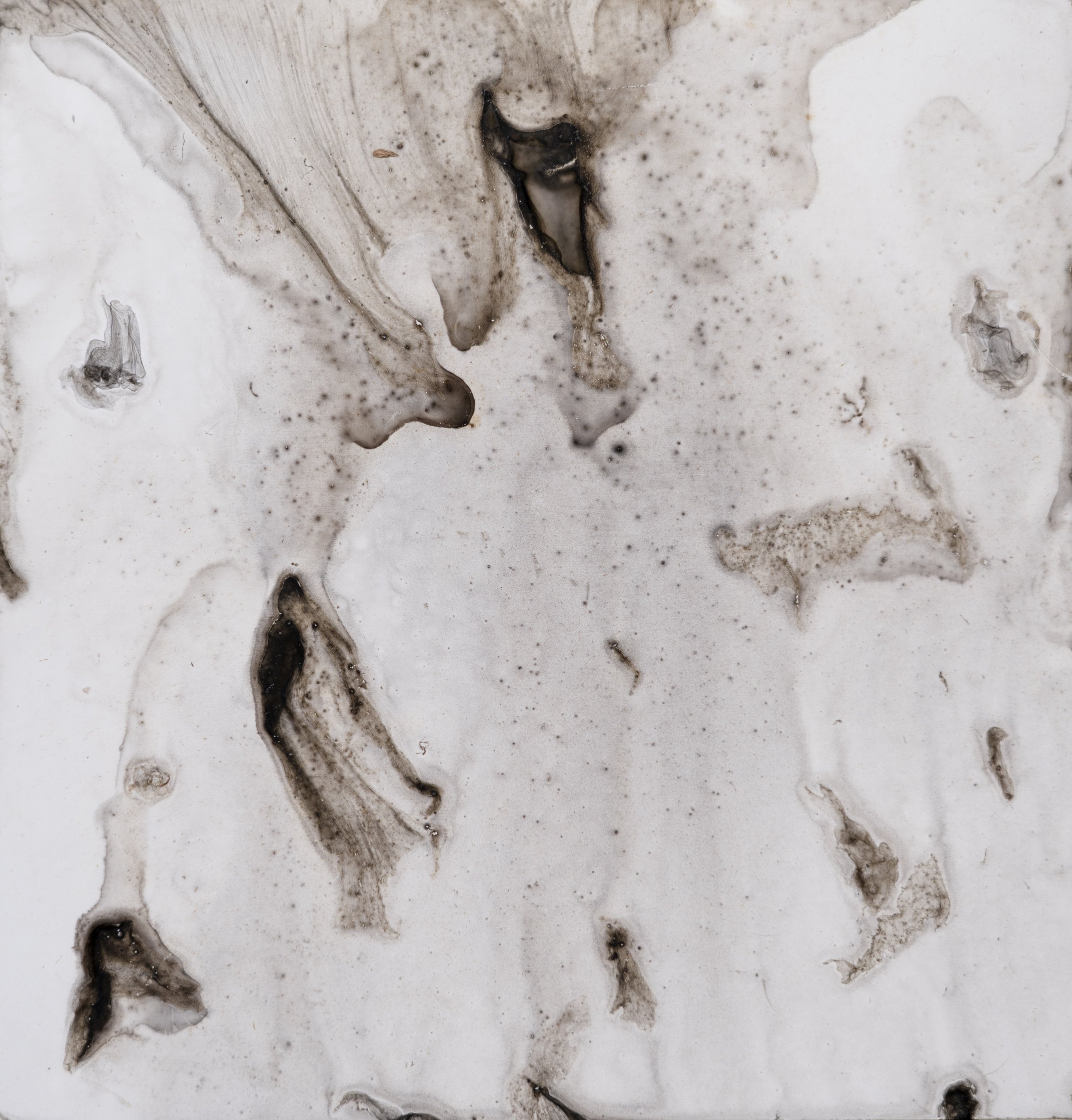 Until Its Gone, Mordançage, Silver Gelatin Print