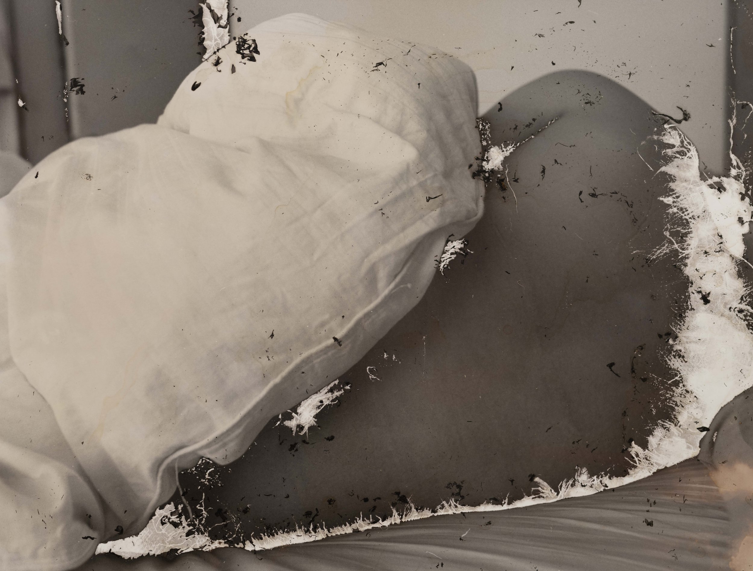 In My Dreams, 
Mordançage, Silver Gelatin Print