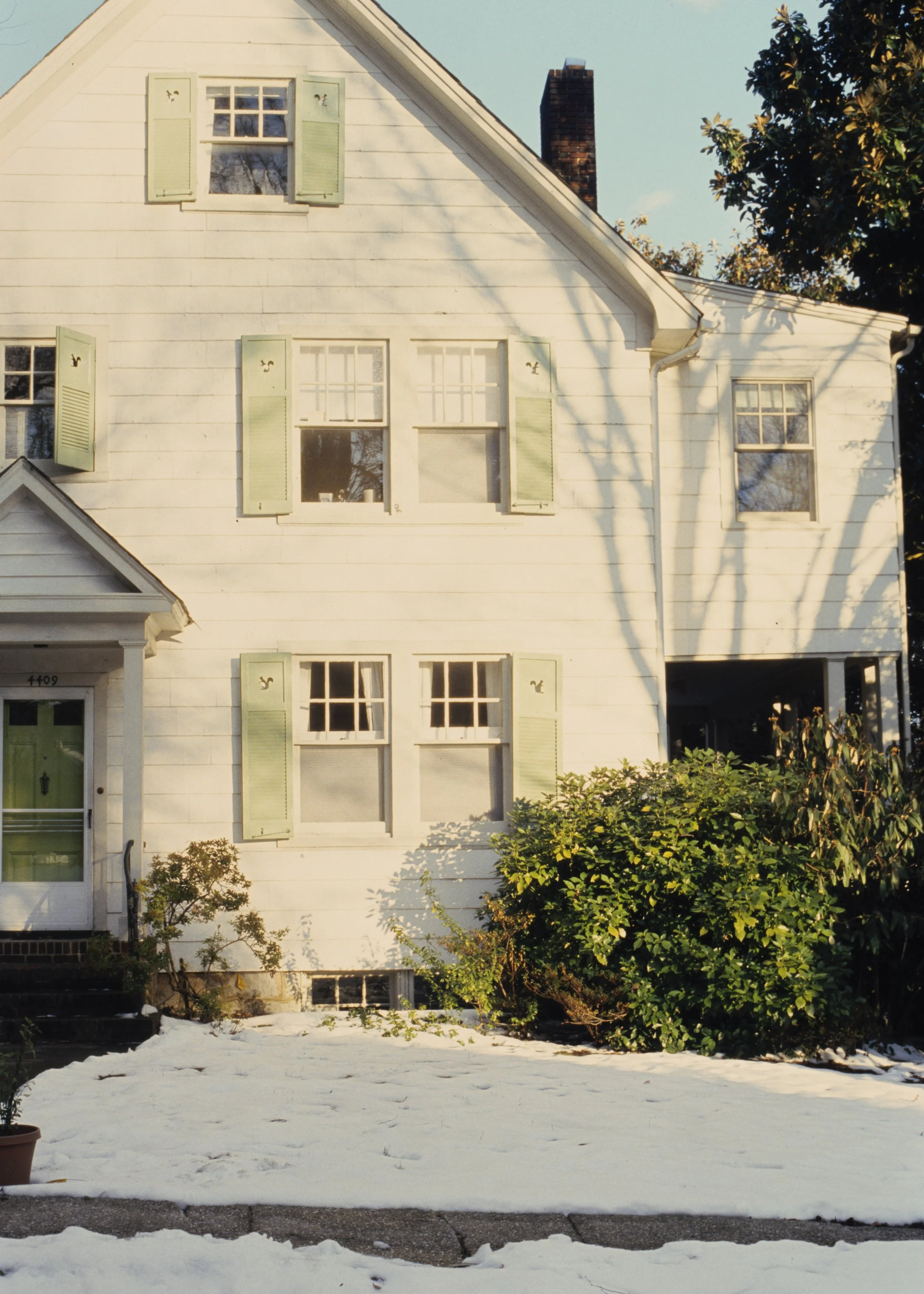 bettery and bobs house tree shadow 2.tif.jpg