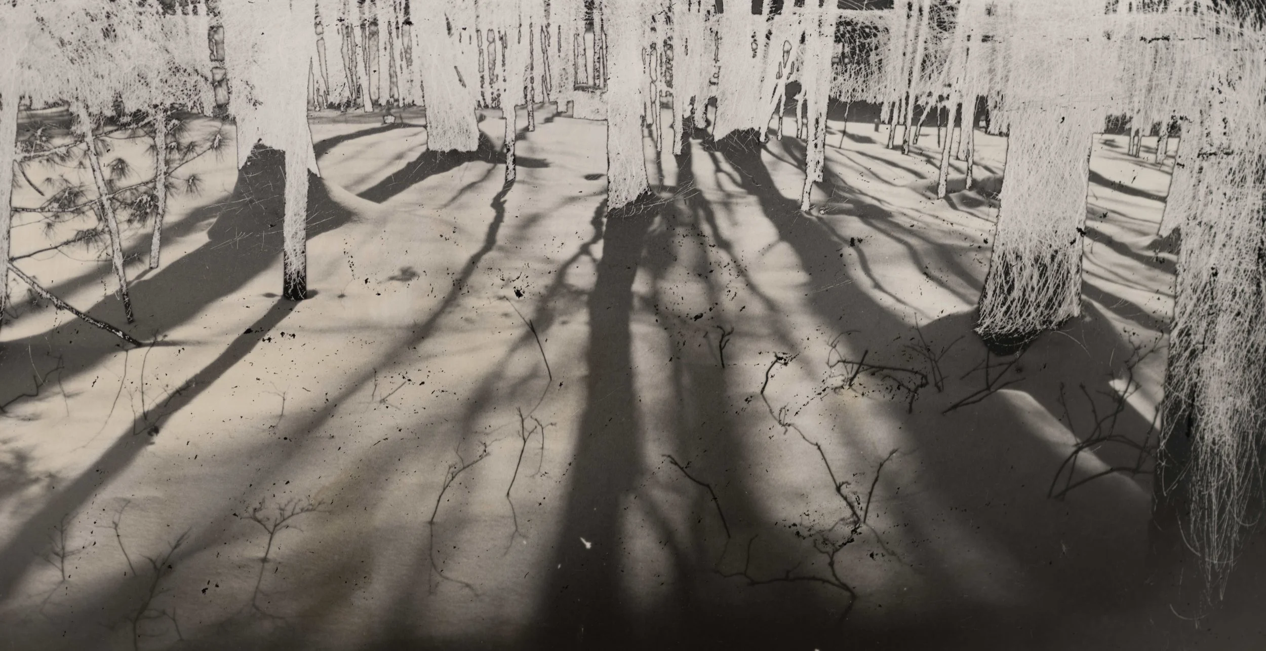 The Distance Between Self and Life, Mordançage, Silver Gelatin Print