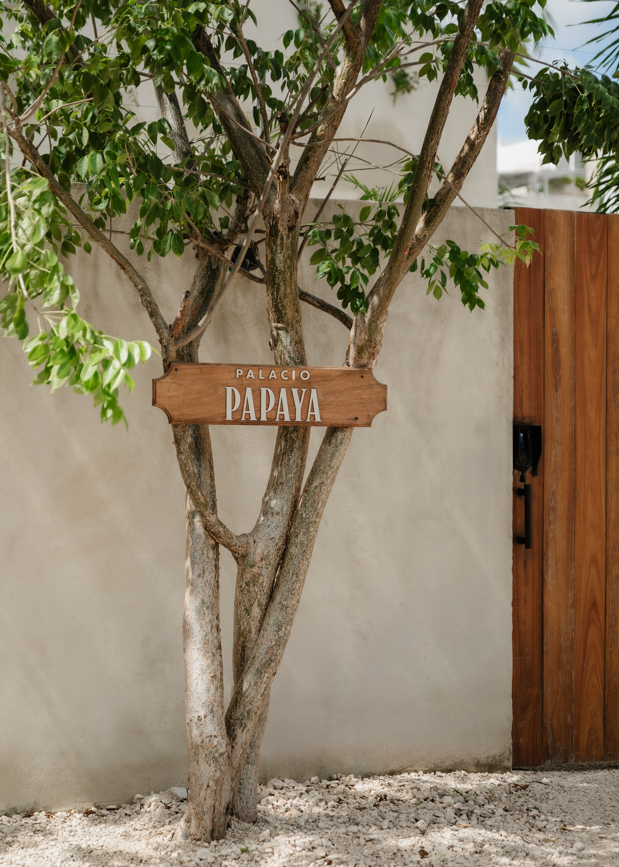 2025-10-13-PalacioPapaya-12.png