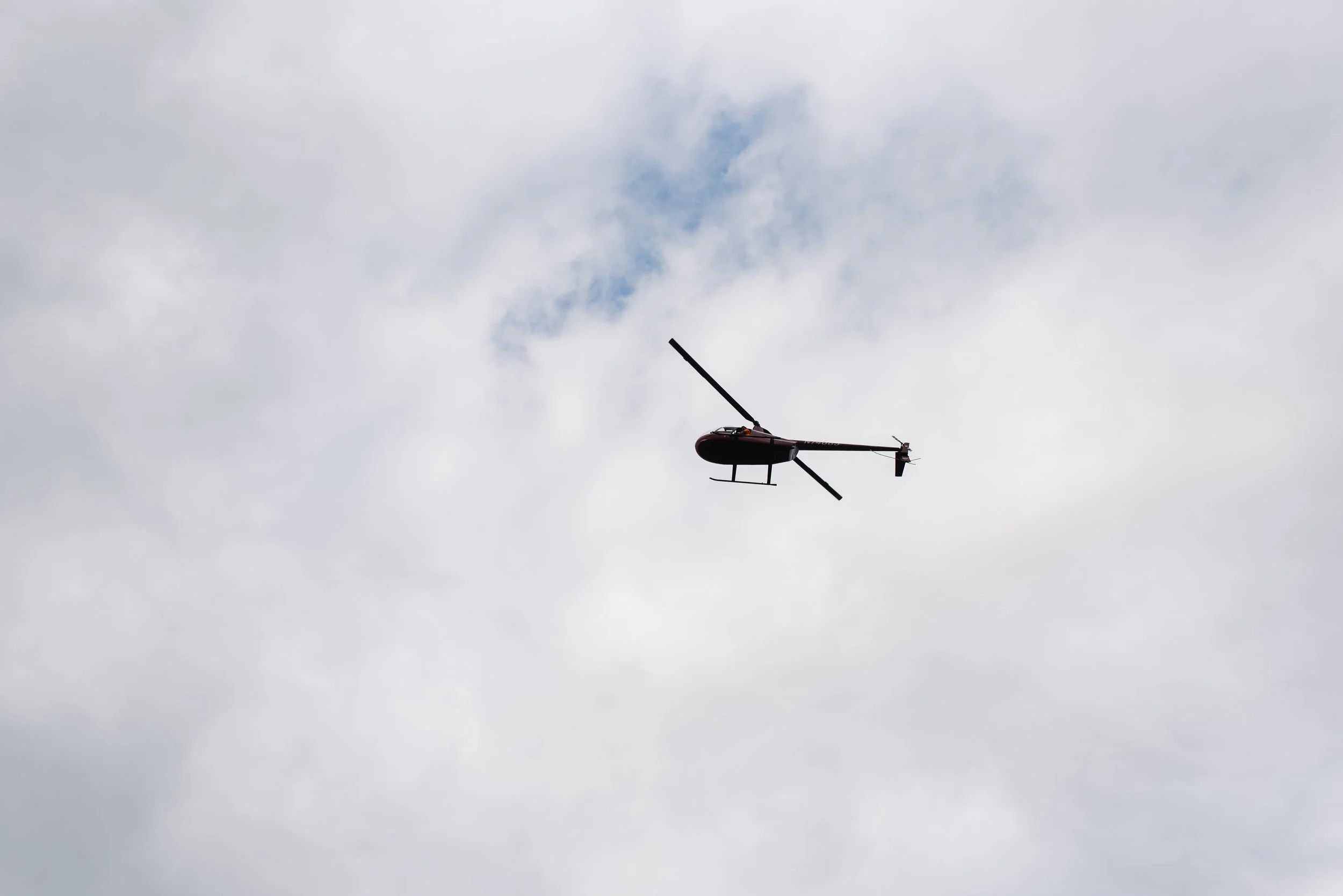 2023FallFest-37.jpg