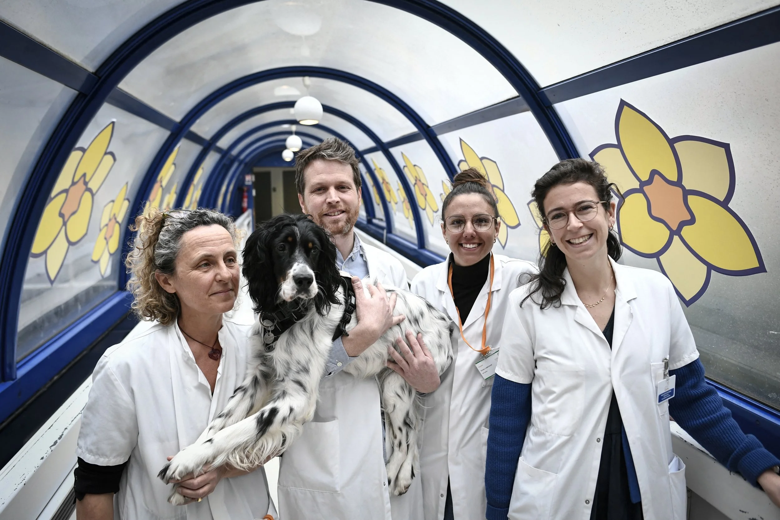 Le chien Snoopy accompagne les patients atteints de cancer