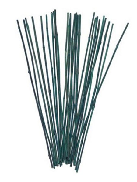  BAMBOO STAKES