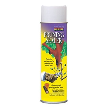 BONIDE PRUNE SEALER 14OZ