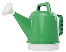 BLOOM WATERING CAN 2.5 GALLON