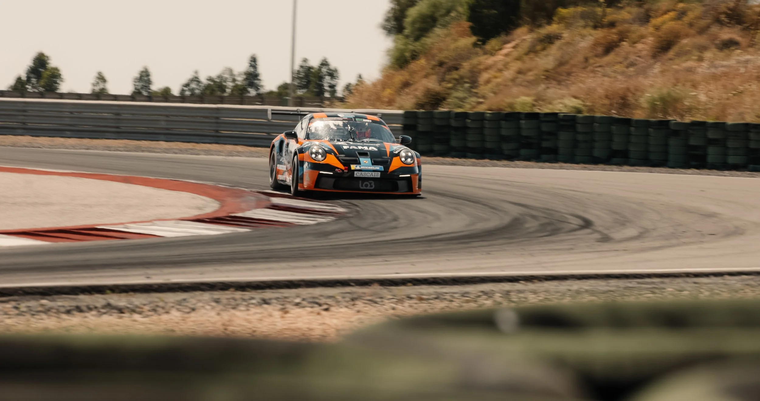 A135D009_25052416_CANON.00_00_18_05.Still006 2.JPG