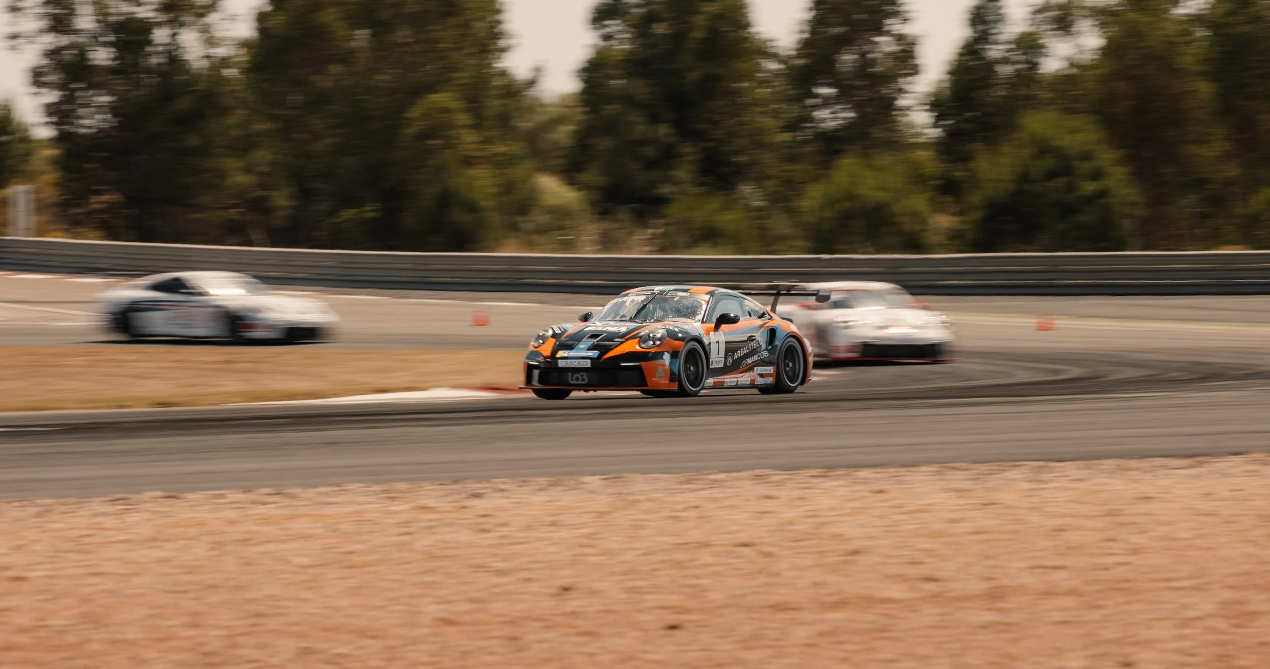 A135D009_25052416_CANON.00_00_13_25.Still004 2.JPG