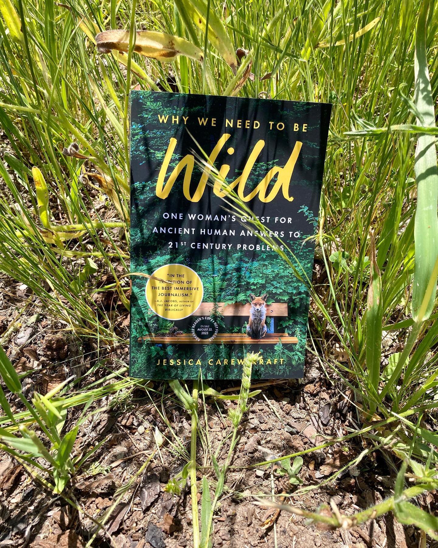 This book showed up amidst the weeds! Advanced review copies now available- contact me if you want to preview it for your mega-influencer rewilder bushcraft audience!