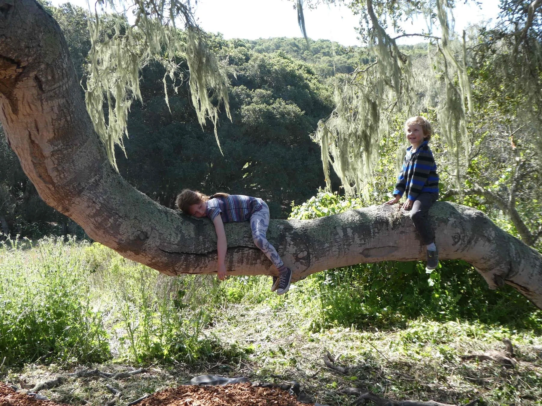 Restoring Our Children’s Connection to Nature