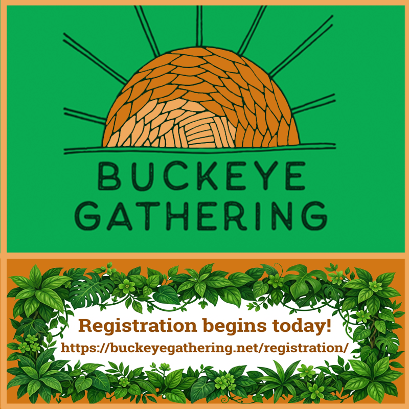 From Feather to Feast