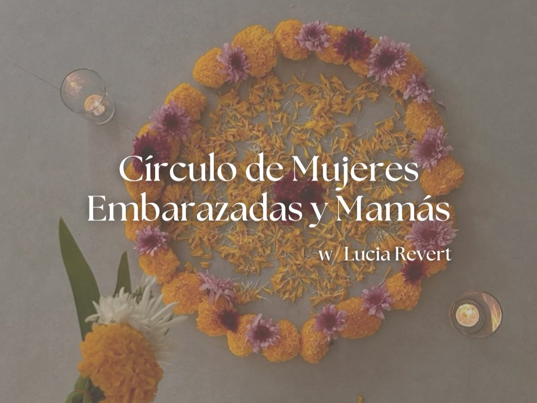 Círculo de embarazadas y mamás (copia)