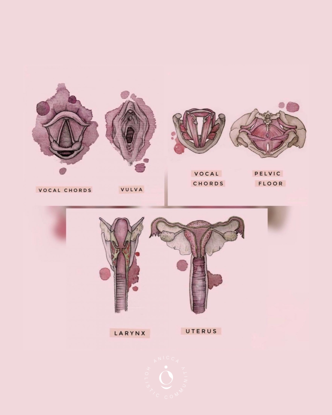 La garganta y el útero: nuestra voz, una llave al placer 🌹