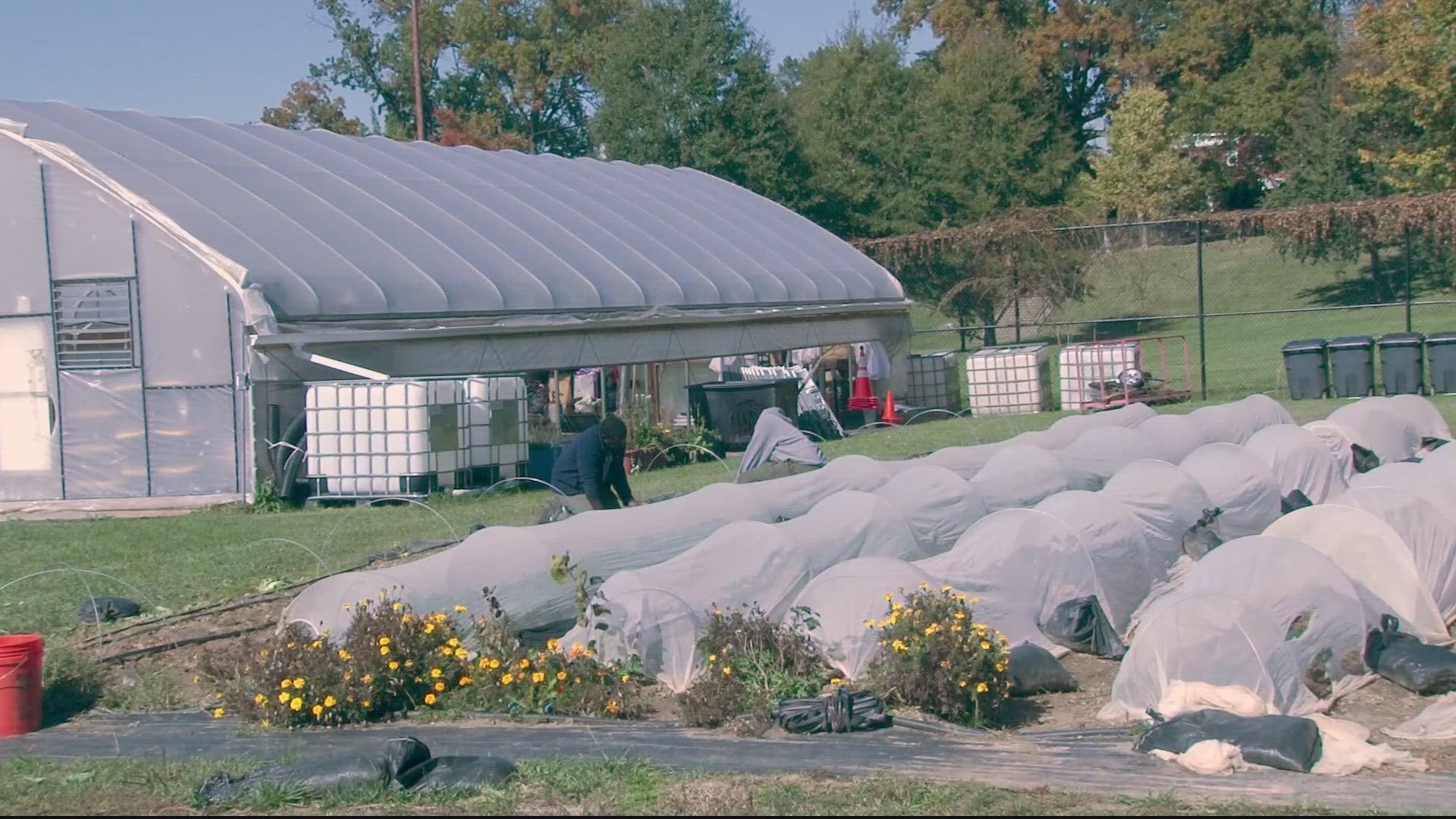 More Than Food: Dreaming Out Loud’s Vision for Equity