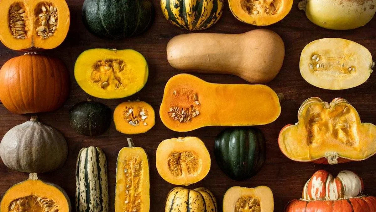 🍂 Fall Has Arrived: A Season of Freshness &amp; Flavor