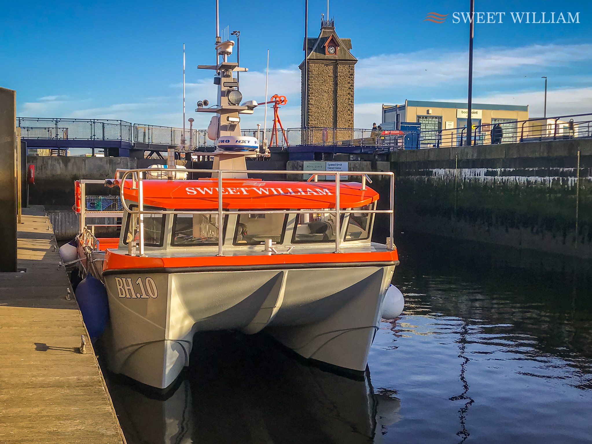 SSweet William Charter Boat, River Tyne, Wreck, Fishing, Angling, Cod, Ling, Pollock, Mackerel, Lobster, Crab, Photography, Dolphins, River Cruise, Newcastle Quayside, Millennium Bridge, Scattering Ashes, Sunrise, Sunset, Seaton Sluice Holiday Let, C