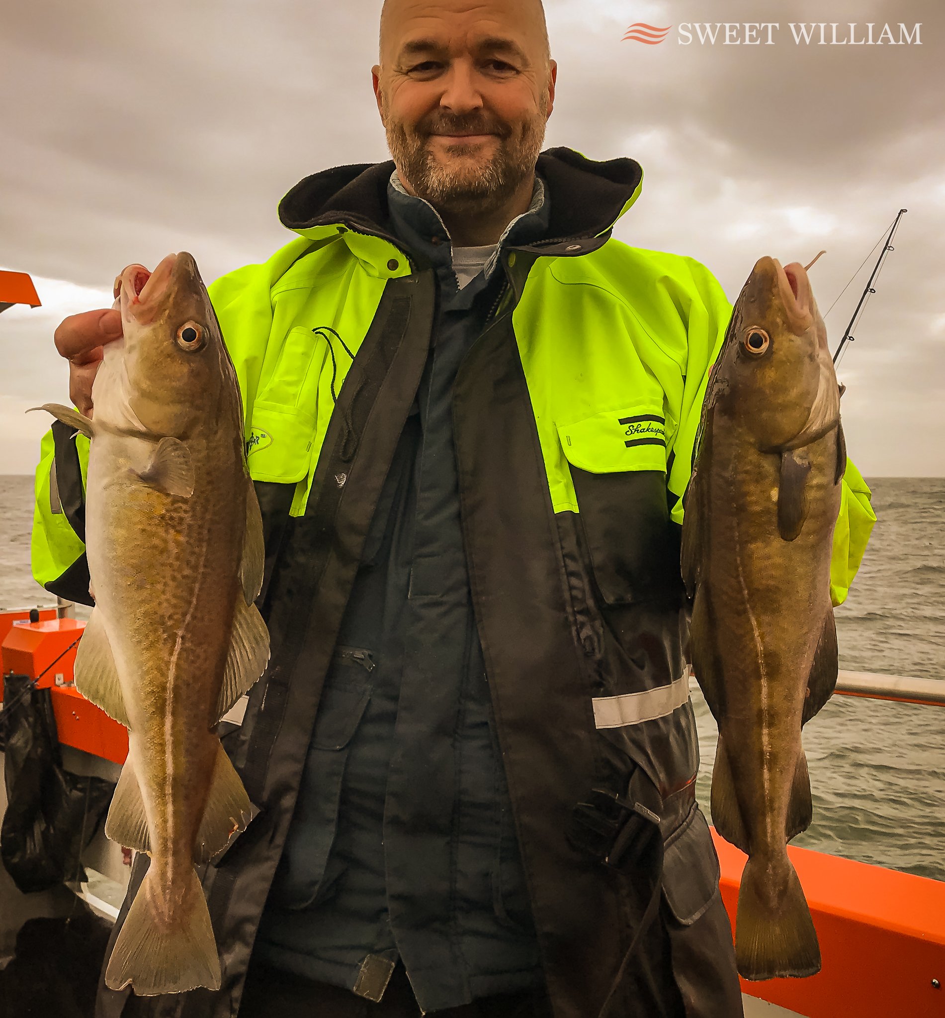Sweet William Charter Boat, River Tyne, Wreck, Fishing, Angling, Cod, Ling, Pollock, Mackerel, Lobster, Crab, Photography, Dolphins, River Cruise, Newcastle Quayside, Millennium Bridge, Scattering Ashes, Sunrise, Sunset, Seaton Sluice Holiday Let, Ca