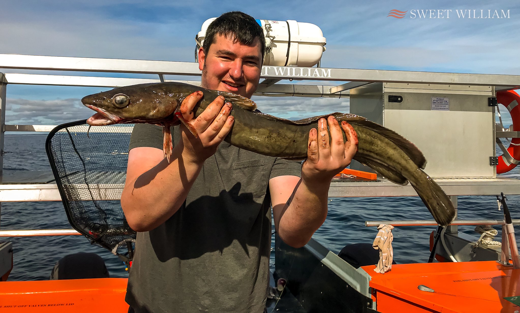 Cod and Ling taken aboard Sweet William today on the wrecks off the Tyne.