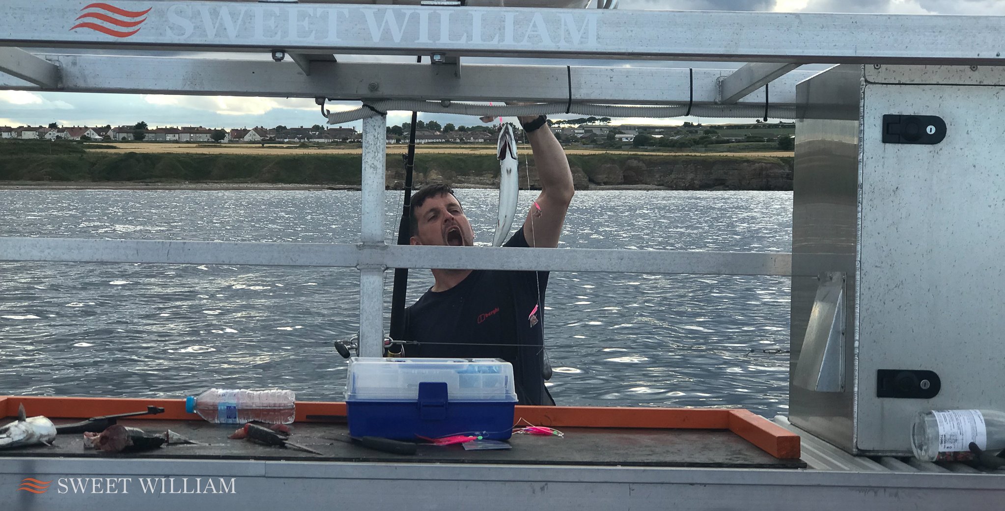 Cod, mackerel and pollock aboard Sweet William Charter Boat on an evening trip out of the Tyne