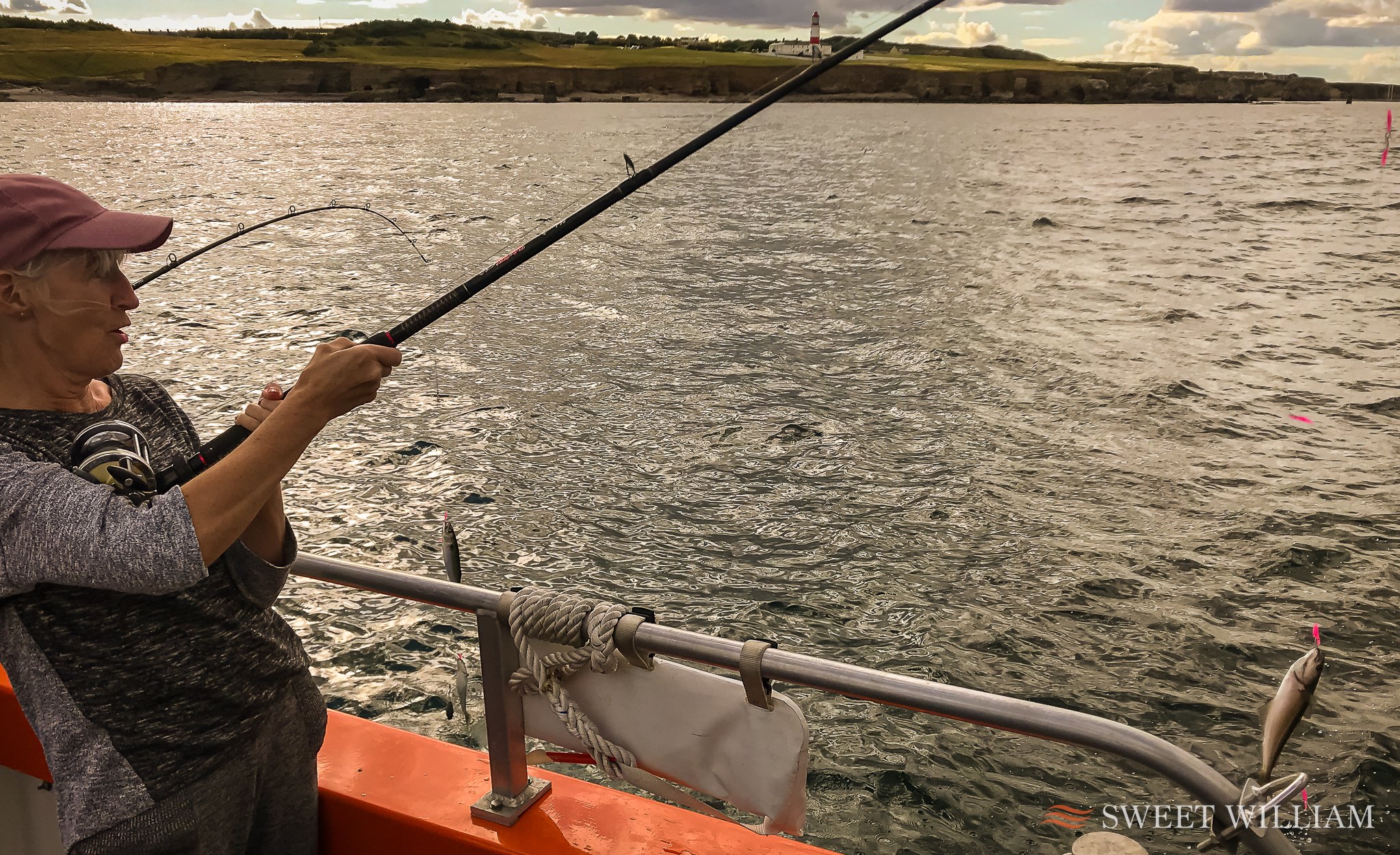 Cod, Ling, Herring and Mackerel about Sweet William Charter Boat out of Royal Quays Marina on the Tyne