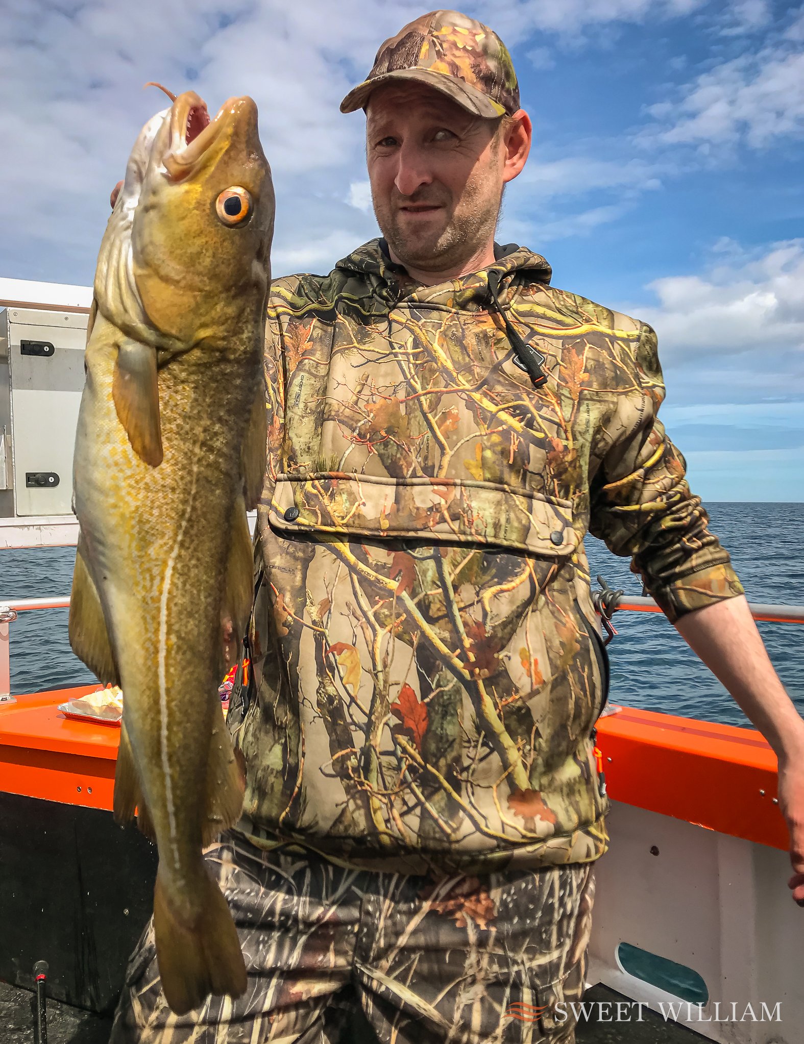 Sweet William Charter Boat out of Royal Quays Marina on the Tyne finds some big Cod and Mackerel