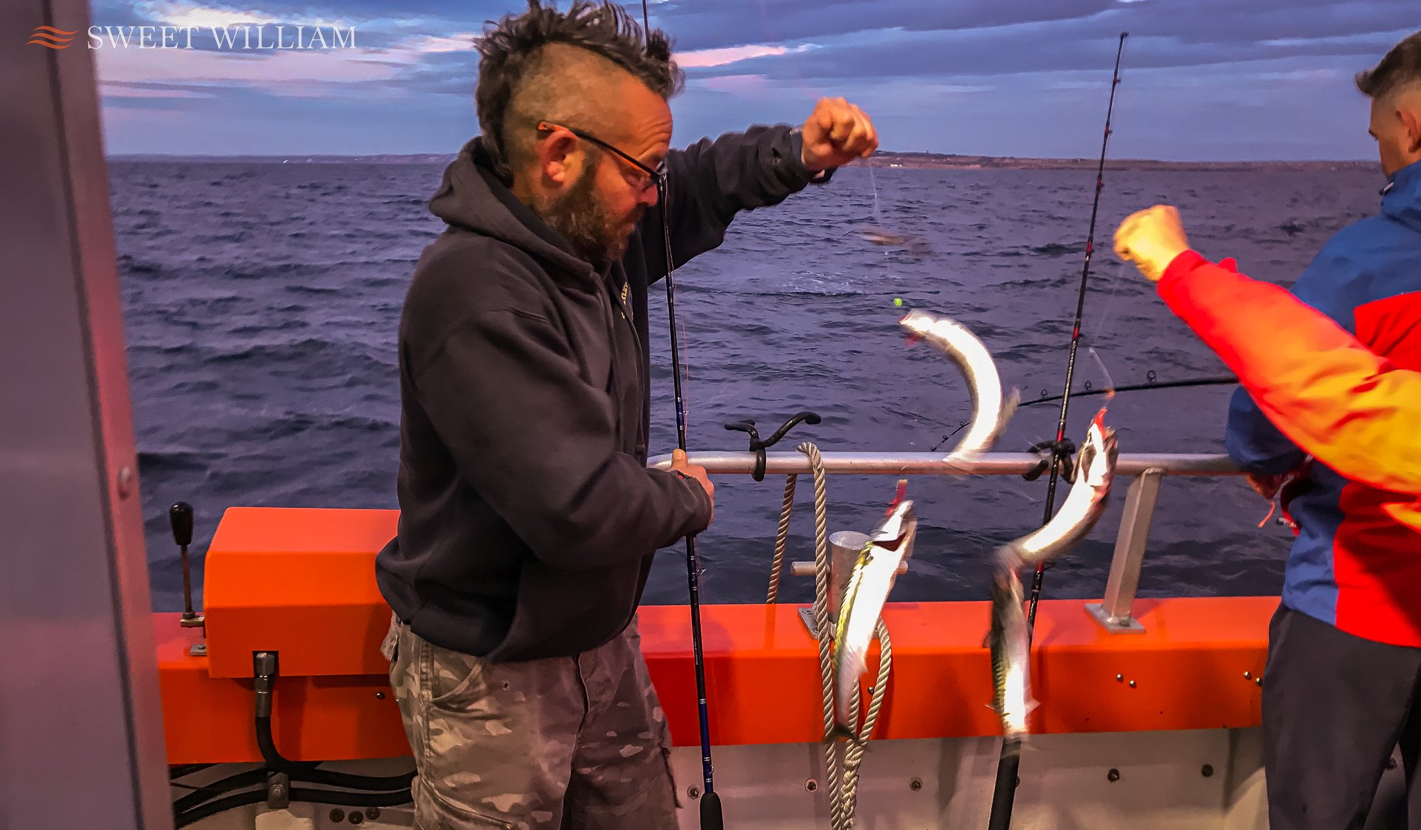 Sweet William Charter Boat out of Royal Quays Marina on the Tyne, finds the mackerel, coalies, cod and ling at dawn