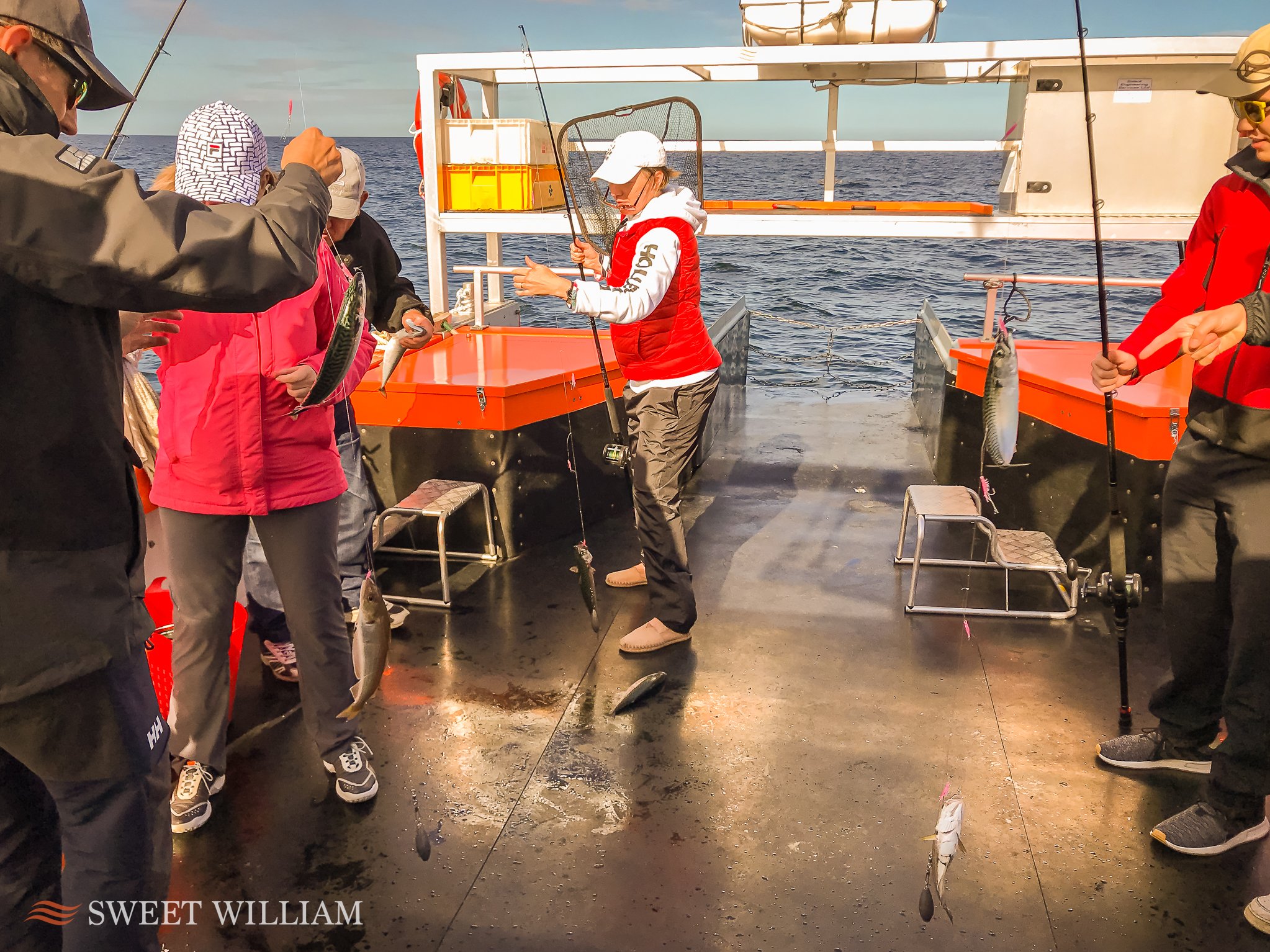 Sweet William Charter Boat based at Royal Quays Marina welcomes anglers from the Ukraine and finds Ling, Cod and Mackerel on the wreck off the River Tyne.